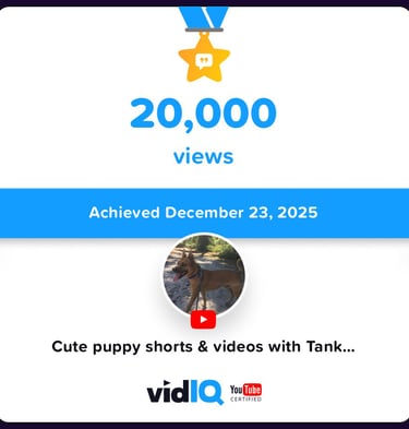 a dog with a medal for a video game