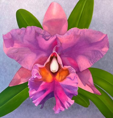 Purple Cattleya