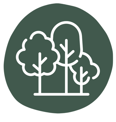 Icon: Park – Training an verschiedenen Orten für alltagsnahe Übungen