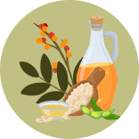 Illustration of natural herbs and a bottle of oil, symbolizing carefully handpicked botanical ingredients.