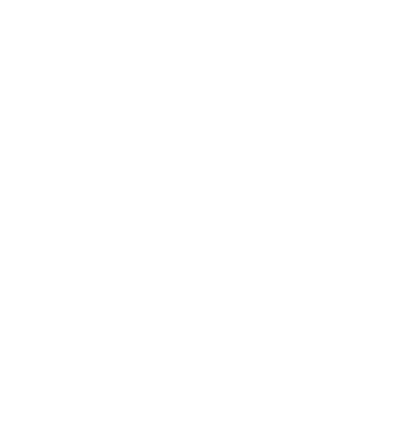 checkmark-icon