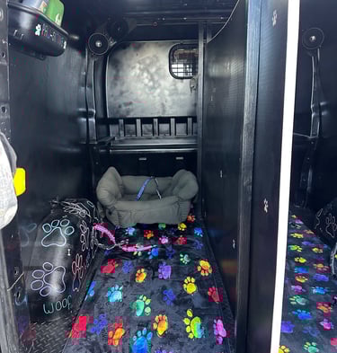 Safe, fully equipped dog transport van for group dog walks in Stourbridge.