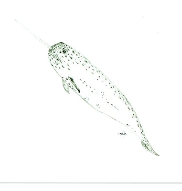 ascending narwhal 6''X9''