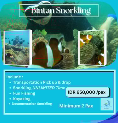 Bintan Snorkeling