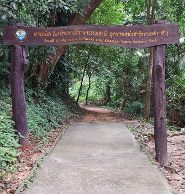thailand khao lak lam ru national park