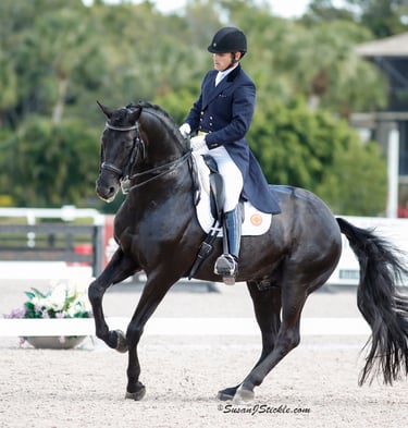 Rick Silvia with Rubinero (Oldenburg Stallion)