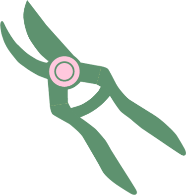 Fleurs Agriculture Biologique