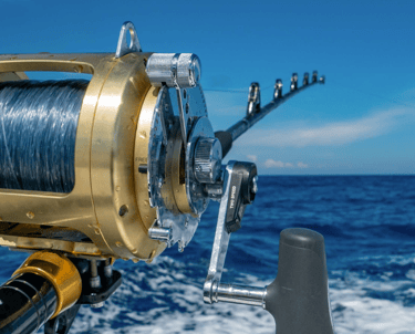 Profesjonalna konserwacja i higieniczna dezynfekcja luksusowego sprzętu sportowego przy użyciu suchej pary EV Atlantis.