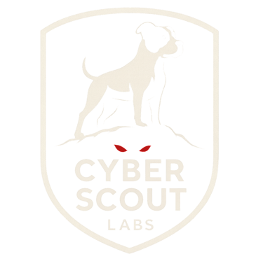 Cyber Scout logo
