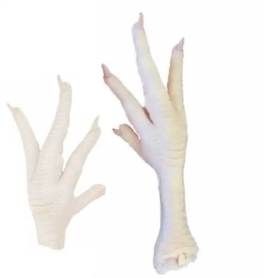 Chicken Feet Exports-DGT