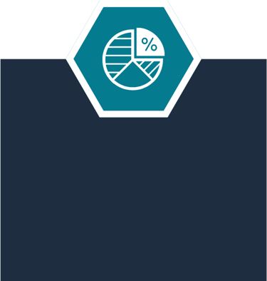 Vulnerability Assessment