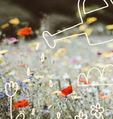 Illustration für Social-Media-Beitrag