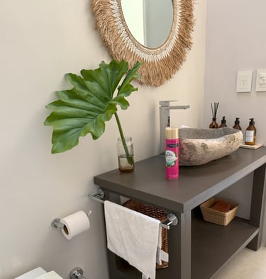 Lagartos baño principal