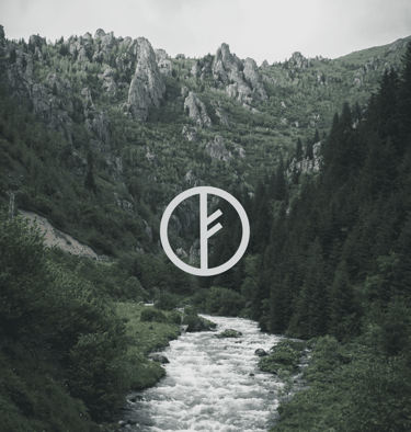 Logo brukskonsept for selskapet SKOG