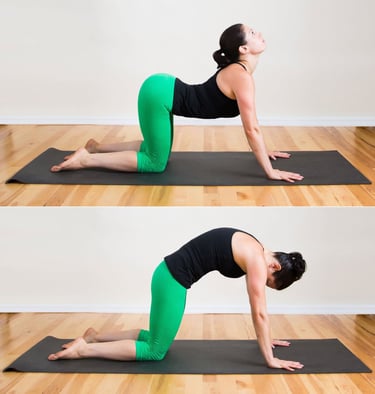 cat-cow pose