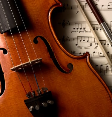 sarıyer keman dersi kursu