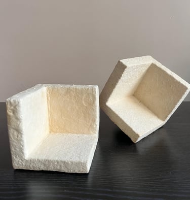 Biodegradable mycelium packaging block replacing thermocol and plastics.