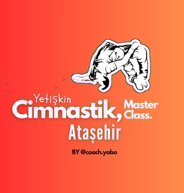 Ataşehir Yetişkin Cimnastik Sınıfın Programı