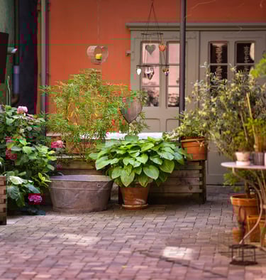 Jardin gite ribeauvillé alsace