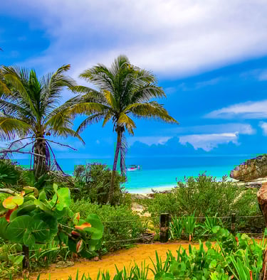 Mayan ruins by the beach in Tulum