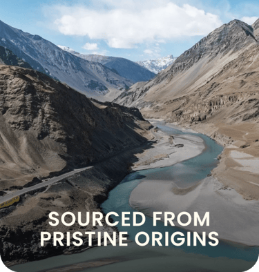 Pure Sea Buckthorn berries sourced from pristine Himalayan origins