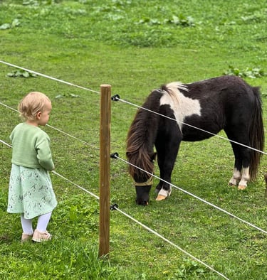 Mergaitė susipažįsta su poniu Ugdymosi erdvėje ,,Ąžuolynas"