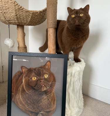 Realistische dierenportretten