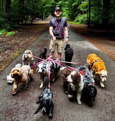 Professional Dog Walking, Sitting & Coaching Services in Brussels