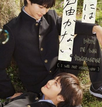 Kimi ni wa todokanai - I Will Not Reach You