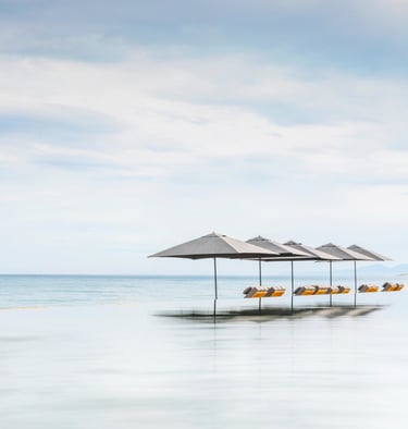 umbrellas and umbrella umbrellas are lined up in a row