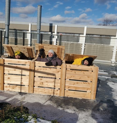 compost-toronto-1.jpg