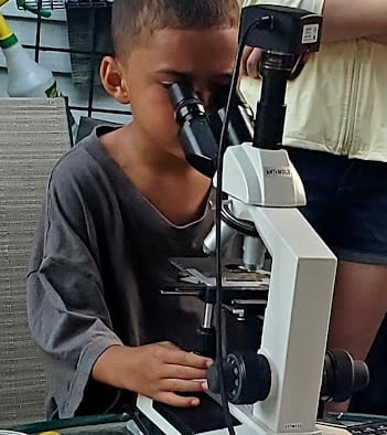 : child using microscope during compost toronto workshops