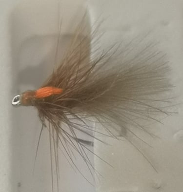 Sedge CDC