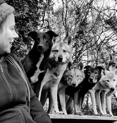 Julie Desury et ses chiens
