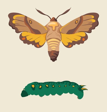 PESTICIDES INSECTES SUPER RESISTANTS