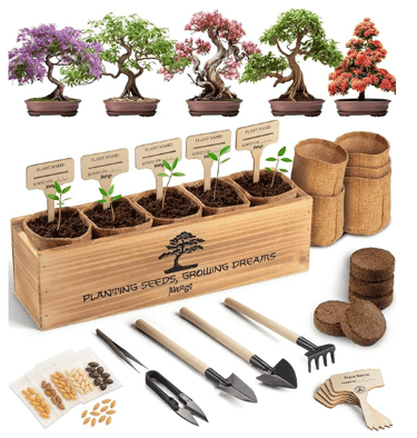 bonsai tree garden indoor gardening kit