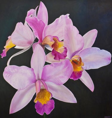 Purple Foursome Cattleya Cluster