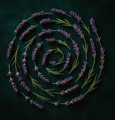 a spiralle of lavender flowers on a green background