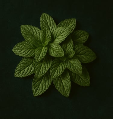 a green peppermint plant with a leafy green leaf on a green background
