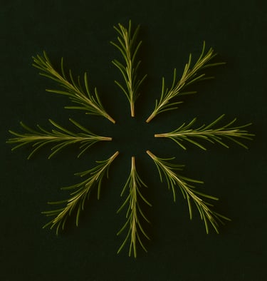 rosemary sprigs on a green background