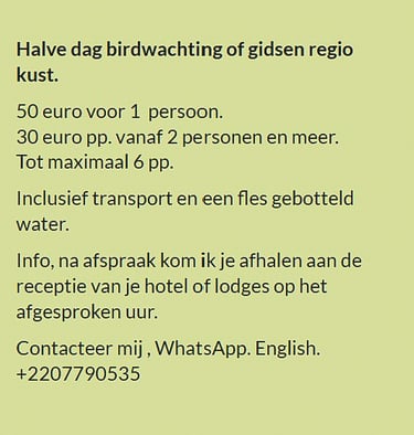 Flyer halve dag vogelkijk- of kusttour in Gambia. Prijs €50 voor 1 persoon of €30 p.p. vanaf 2 perso