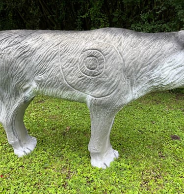 Lobo, diana 3D, Target