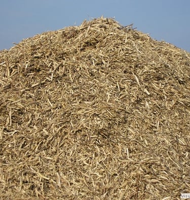 Biomass briquettes manufacturing using wood waste at Agni Agro Biofuels