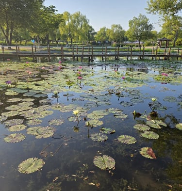 Gungnamji pond area