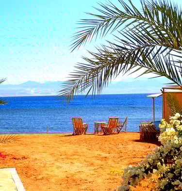 En strand med blomster og palmer foran havet, flott atmosfære for familieferier