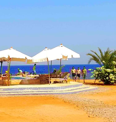 en strand med parasoller rundt et basseng i Egypt
