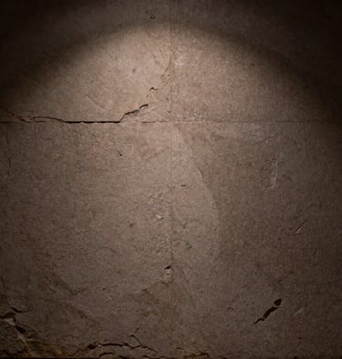 Vertical shot of a textured surface resembling aged stone in Earthy taupe, illuminated by a sliver of light, moody Argentine aesthetic.
