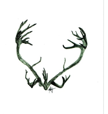 caribou antlers 6''X9'' 
