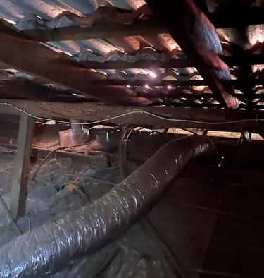 Termite damaged timbers - before works