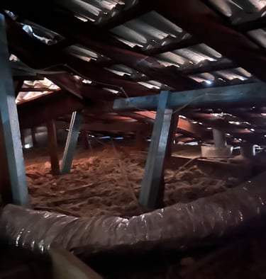 After images of new timbers supporting termite damaged areas